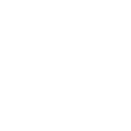 White Polestar logo